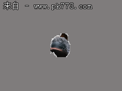 夜游神游戏论坛板块划分及功能详解(11-15)(配图)