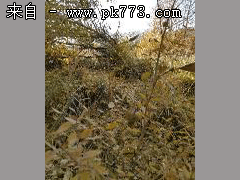 烦请管理员和各位大神帮忙解答,万分感谢(配图)