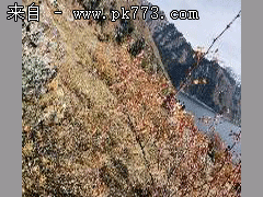 请问下,安卓手端传奇安装后在什么目录里