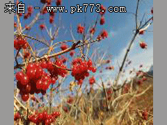 Xml解密工具,适用于传奇3G,全民奇迹客户端(配图)