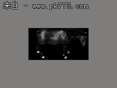 传奇三游戏架设视频教程火鸟王者专版视频